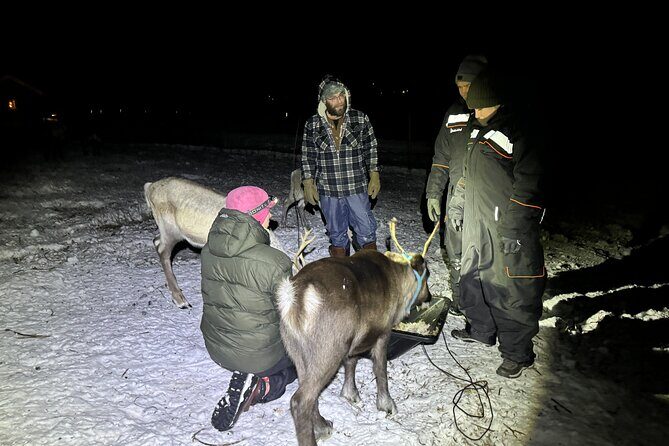 Arctic Adventure with Reindeer and Northern Lights Hunt 18:30 pm - The Northern Lights hunt: how it works (and how not to get burned)