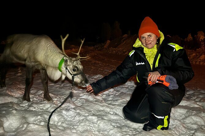 Arctic Adventure with Reindeer and Northern Lights Hunt 18:30 pm - Feeding reindeer in the Arctic: more than a photo moment