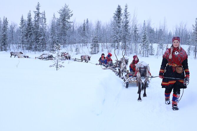 Aurora Hunting with Reindeer Caravan - Northern lights hunting: your odds, the sky rules, and why timing helps