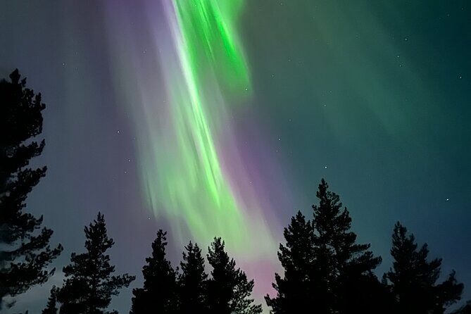 Aurora Hunting with Reindeer Caravan - The raijd sled ride: slow travel, real winter sounds