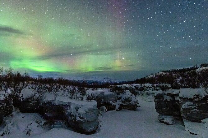 Aurora Tour with Dinner in Abisko - Key things that make this tour worth your time