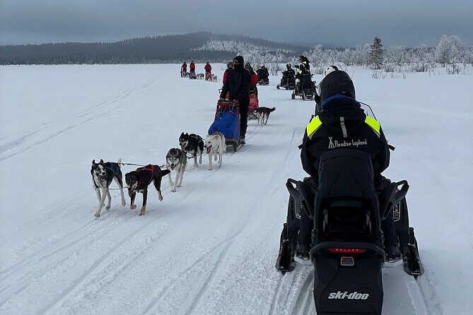 Day tour with snowmobile in Kiruna 10:30 am - Shared Snowmobiles: How Turns Work and Why It’s Not a Dealbreaker