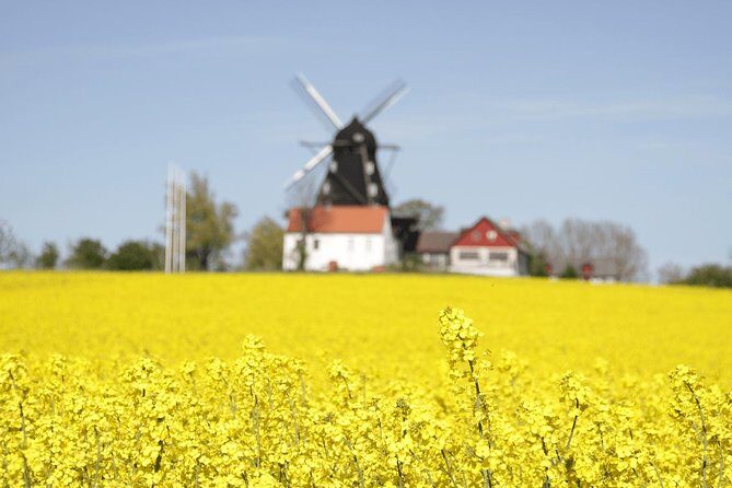 Daytrip Bike Tour on the Swedish Countryside Private - Hallongården (Trelleborg): Raspberry Picking and Fika That Actually Feels Local