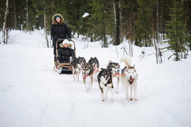 Dogsled Adventure Kiruna - The Warm Break: Tipi or Lavvu, Open Fire, and Swedish Fika
