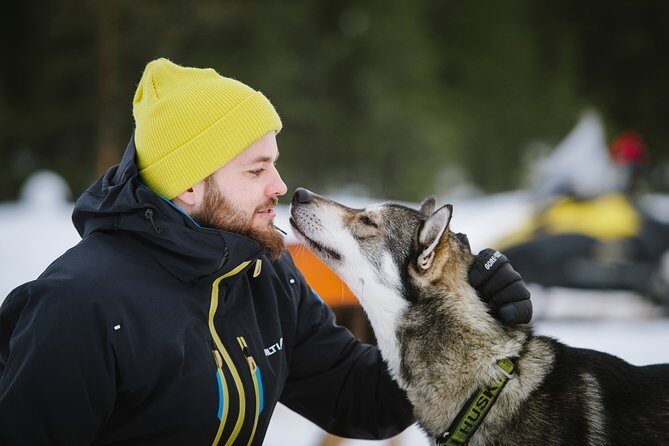 Dogsled Adventure Kiruna - Guides Who Make It Personal: Stories, Racing Cred, and Real Questions
