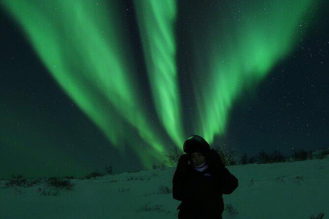 Enjoy the Aurora show on top of the mountain inc tipi dinner - What $338.80 buys you (and why it can still be worth it)