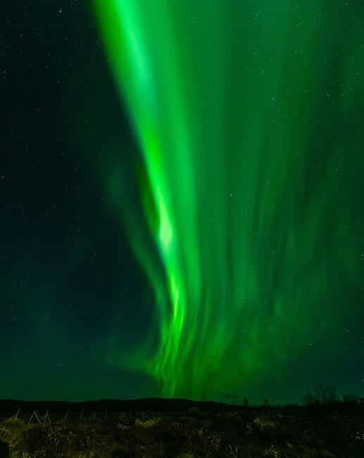 Experience the majestic Auroras Kiruna-Abisko & lodge dinner - Who Should Book This Aurora Dinner Night (and Who Might Skip It)