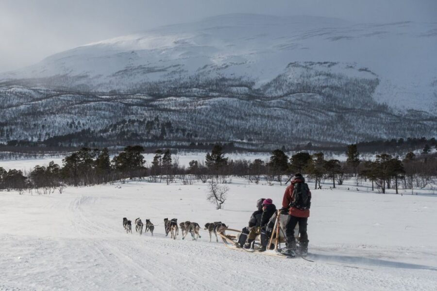 From Abisko: Dog Sledding Excursion to Kiruna with Fika - How the 7-Hour Day Flows From Abisko