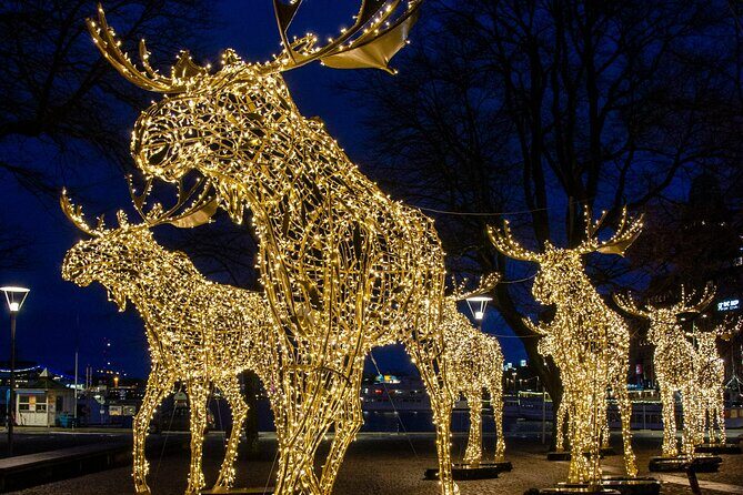 Guided Stockholm Christmas Tour - Price and value: what $56.21 gets you for a 2-hour winter tour