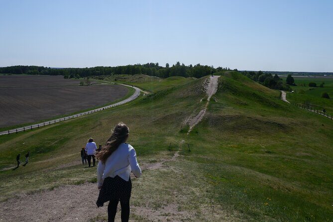 Guided tour 90min at Old Uppsala mounds and old Uppsala church - Key highlights to look for
