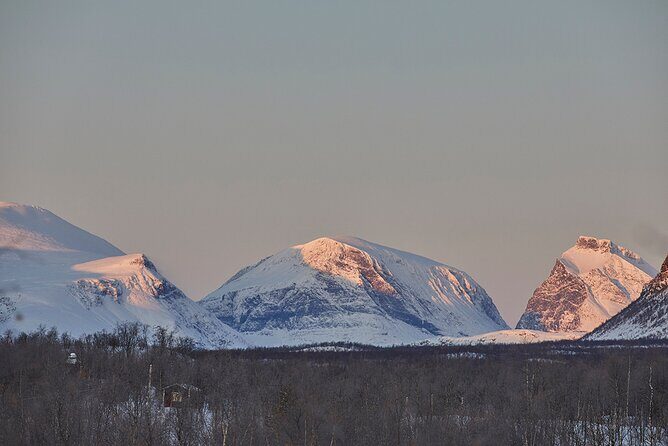 Half day Wildlife and Nature Photography - Kiruna Wildlife Photography With Real Coaching (Not Just Spotting)