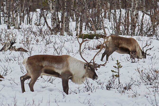 Half day Wildlife and Nature Photography - Where You’ll Stop: Scenery, Plants, and “Right Place, Right Time”