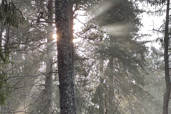 Icebathing and Sauna, Forest Hike and Fireplace Lunch - Private - Tips to Pack for Swedish Sauna and an Ice-Plunge Day