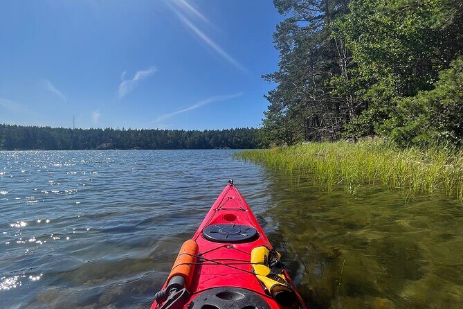 Kayak Tour in the Stockholm Archipelago with Lunch Meal - Guides in the mix: calm energy and practical help on the water