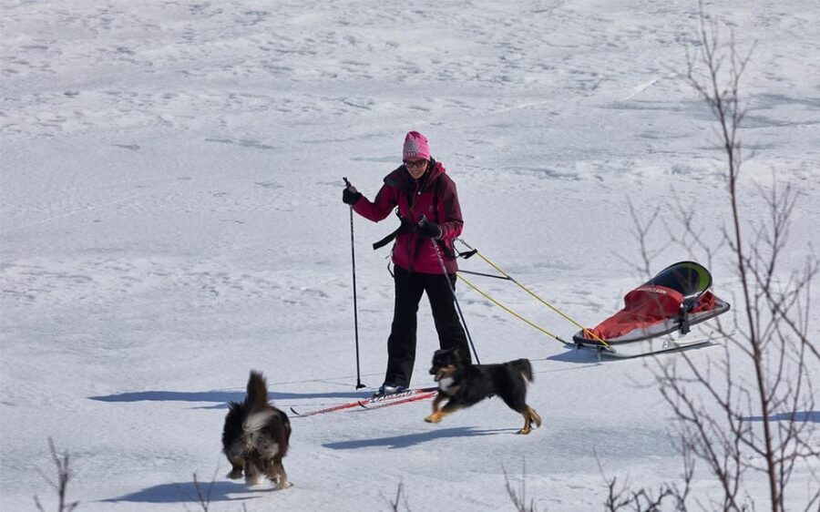 Kiruna: Cross-Country Skiing Tour with a Guide - What the 3-Hour Experience Actually Includes on the Ground
