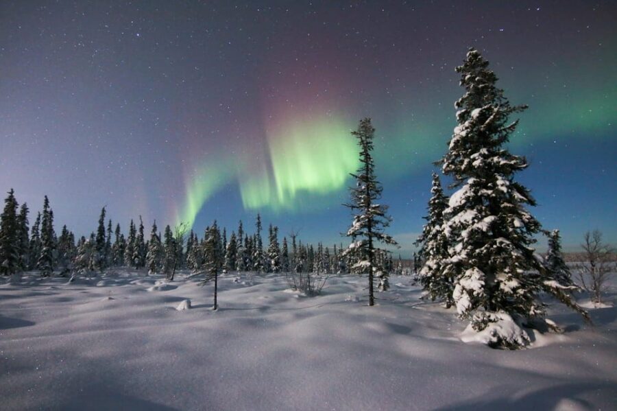Kiruna: Northern Lights Minivan Chase with Warm Drink - Minivan Aurora Chase: Why the Guide’s Driving Matters