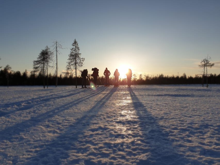 Luleå: Nordic Touring Skiing Adventure - Key Highlights You’ll Want to Know