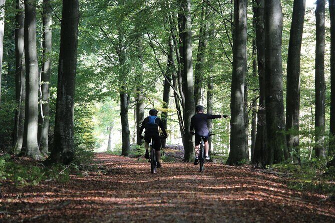 Malmo Bike Rental - Key Highlights You’ll Care About