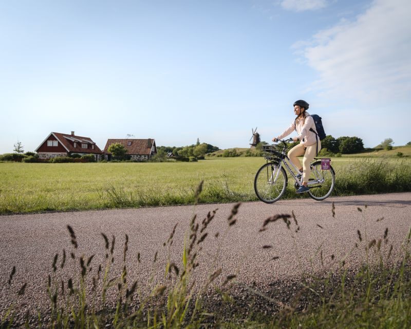Malmö: City Bike Rental - The falafel moment: the kind of lunch you plan for
