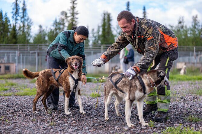 Meet 70 Huskies and Enjoy a short ATV Tour with the Huskies - The ATV Follow-Along: How It Fits the Training Day