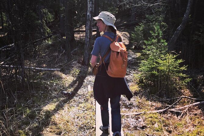 Midnight Sun and Campfire - National Park evening hike Stockholm - Getting to the start: Daisys Cityterminalen to the forest