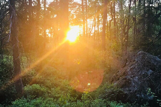 Midnight Sun and Campfire - National Park evening hike Stockholm - The village stop and Swedish fika: slowing down on purpose