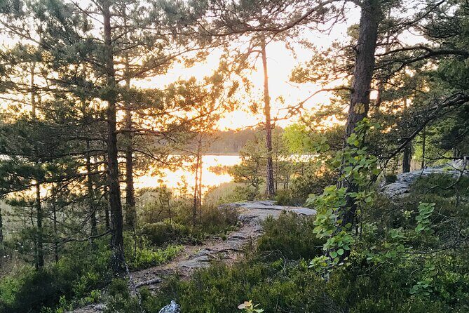 Midnight Sun and Campfire - National Park evening hike Stockholm - Stop in the old-growth forest: easy trails, primeval feel