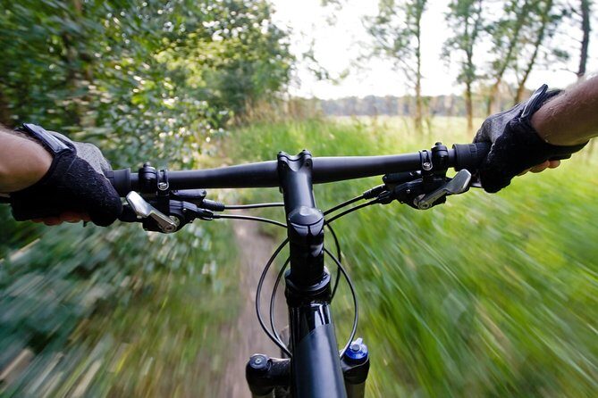Mountain Biking Small-Group in Stockholm Forests for Beginners - Nackareservatet: the beginner-friendly forest right near Stockholm