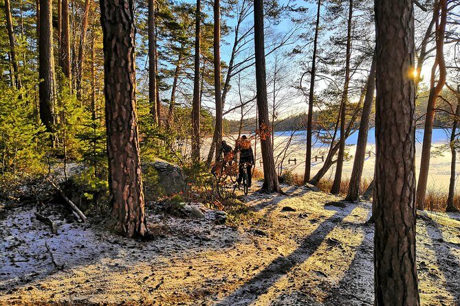 Mountain Biking Small-Group in Stockholm Forests for Beginners - Lunch and Swedish fika: the secret weapon for keeping energy steady