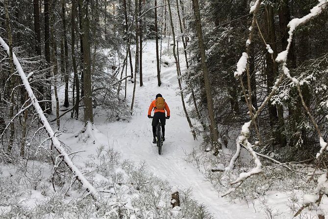 Mountain Biking Small-Group in Stockholm Forests for Beginners - Guide impact: the difference between struggling and learning