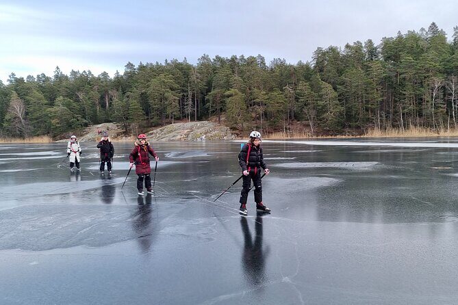 Nordic Ice Skating on a Frozen Lake in Stockholm - The Swedish Fika Stop: Sandwiches, Hot Chocolate, and Marshmallows