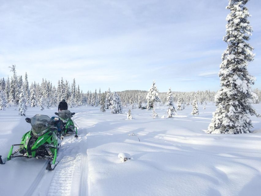 Polar Nature Tour on Snowmobile - Key things that make this snowmobile tour worth your time