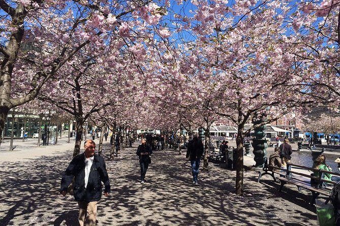Private 4h VIP city tour by limousine car and guide in Stockholm - Fjällgatan viewpoint and Västerbron: the two-picture moment you’ll be glad you planned