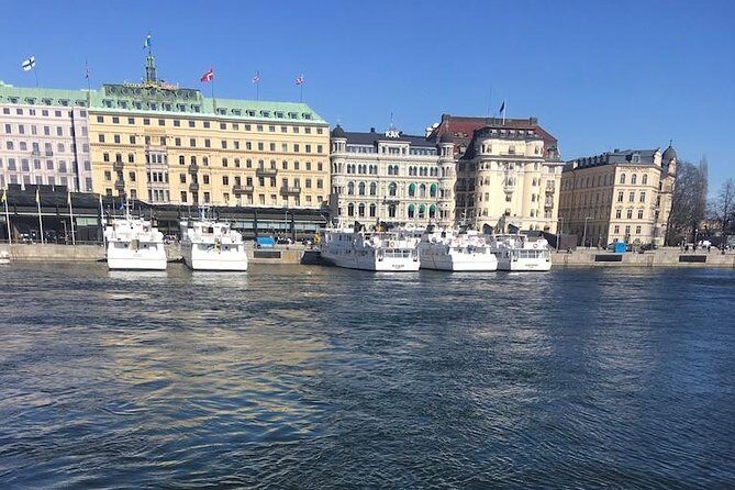 Private full day VIP city tour by limousine car in Stockholm - Royal Palace and the changing of the guards
