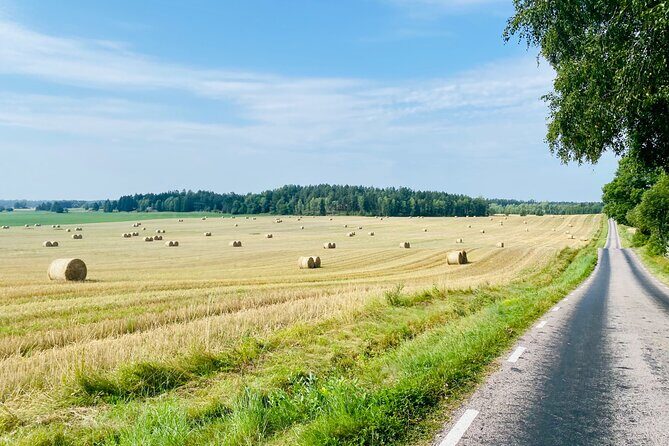 Private Roadbike Adventure in Stockholm - What You’ll Actually Do in Stockholm County (and What It Feels Like)