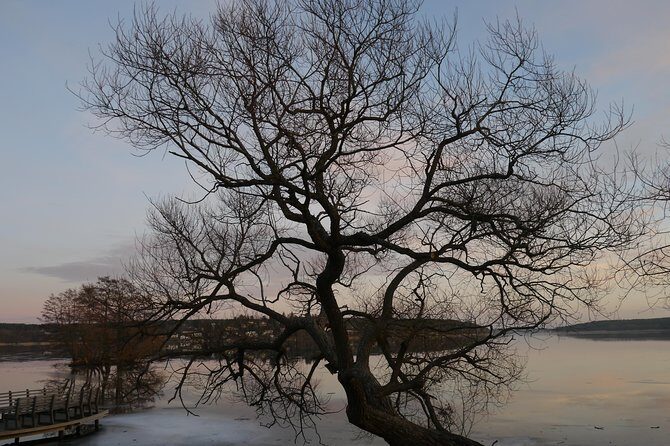 Private Sigtuna Tour from Stockholm - Oldest Town of Sweden - Sigtuna: why this “oldest town” day trip works