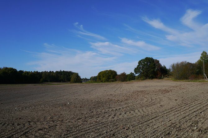 Private Tour: Swedish History Day Trip to World Heritage Candidate Markim-Orkesta from Stockholm - Quick hits: what makes this day trip worth your time