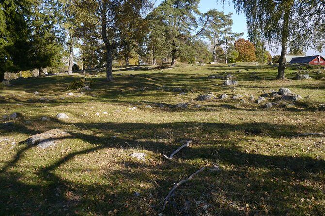 Private Tour: Swedish History Day Trip to World Heritage Candidate Markim-Orkesta from Stockholm - Private guide, pickup, and how the day flows in 5 hours