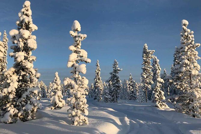 Snowmobile Arctic Adventure - Price and value: what $231.34 covers (and where it might not)