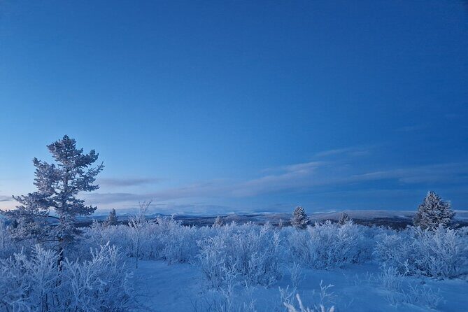 Snowshoe up a Mountain - Gear and Comfort: What’s Included (and What Isn’t)