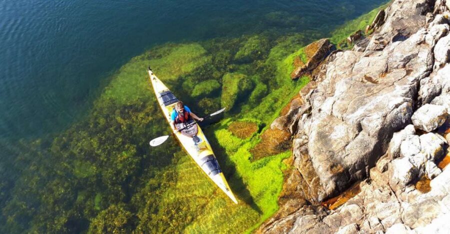 Stockholm: 1, 2, or 3-Day Kayaking Tour in the Archipelago - Why This Stockholm Archipelago Kayaking Feels Different