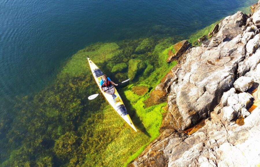 Stockholm: 1, 2, or 3-Day Kayaking Tour in the Archipelago - Wildlife and Plants: What the Guide Helps You Spot
