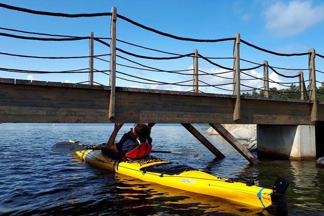 Stockholm Archipelago Kayaking Day Tour - Price and Value: What $235.80 Is Really Paying For