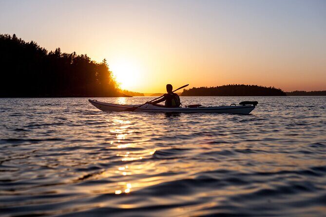 Stockholm Archipelago Sunset Kayaking and Fika tour - Key things I’d plan around