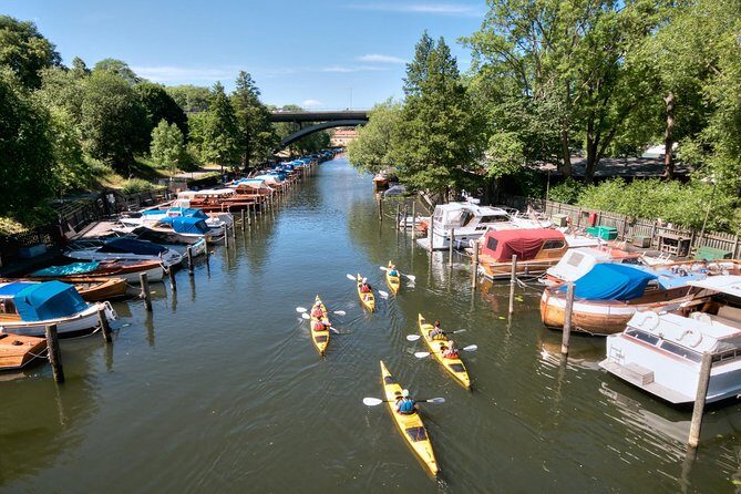 Stockholm City Evening Kayak Tour - The Swedish Midsummer meal break: what it adds to the tour