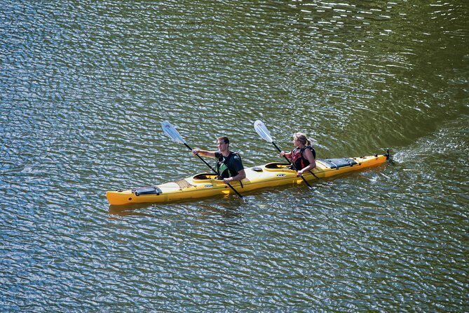 Stockholm City Evening Kayak Tour - Who should book this evening kayak tour (and who should skip)