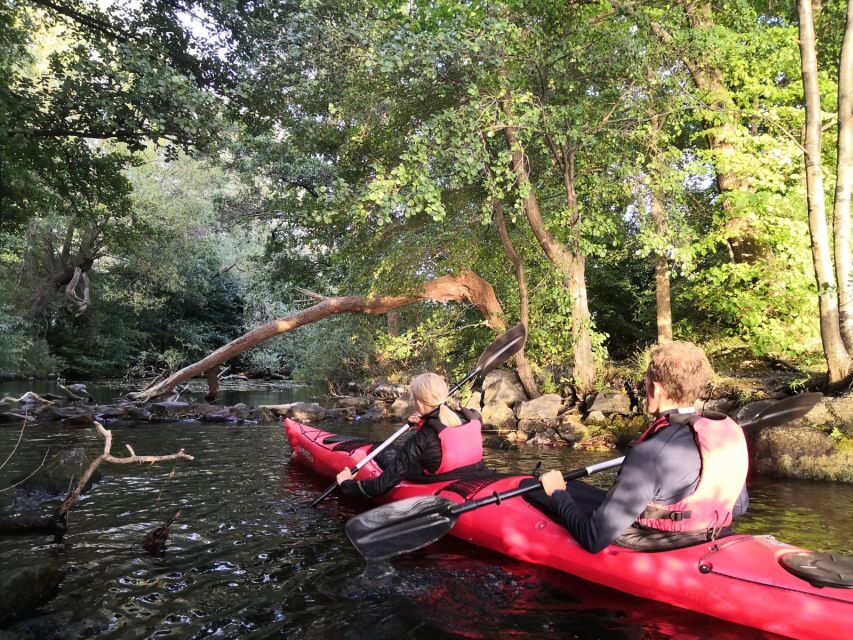 Stockholm Evening Kayak with BBQ. - The Guide, the Group, and the City Info Question