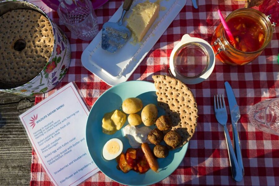 Stockholm: Evening Wildlife Safari with Midsummer Meal - What to wear and how to plan your evening