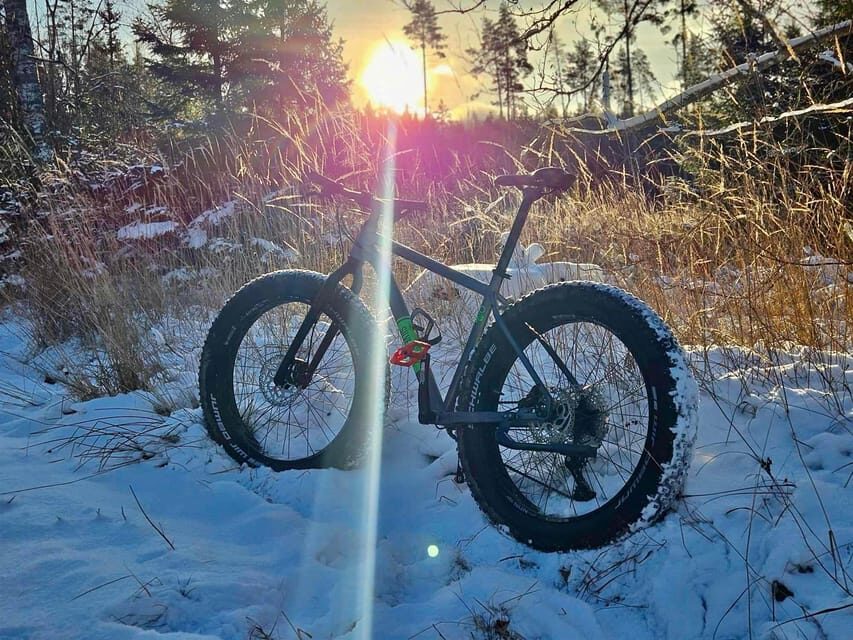 Stockholm: Fat Bike Forest Adventure with Lunch and Sauna - Key highlights worth planning around