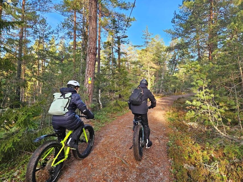 Stockholm: Fat Bike Forest Adventure with Lunch and Sauna - Price and value: why $138 can make sense